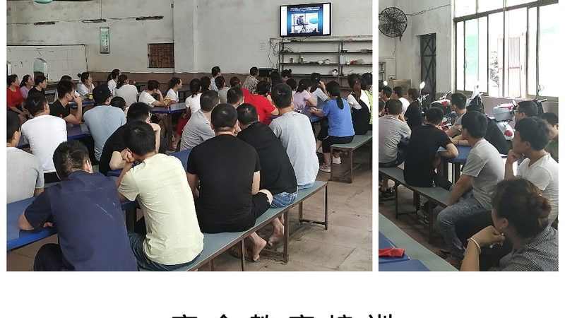 考察指标：师资力量与课程质量